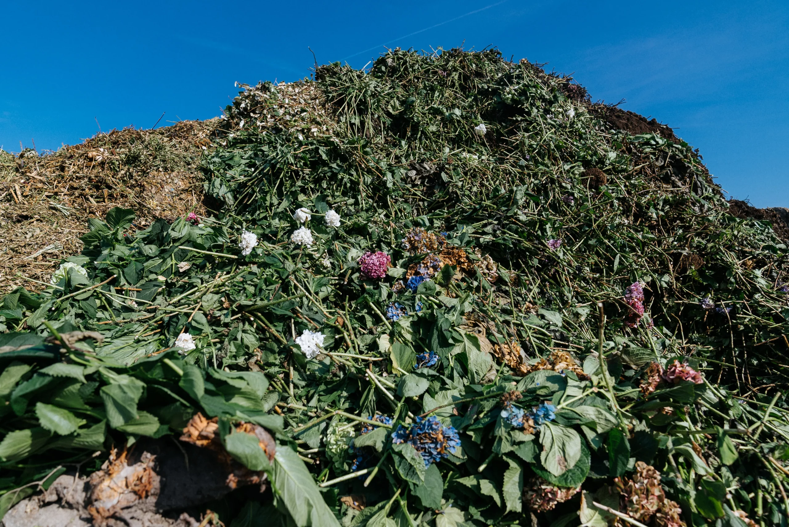 Groen- en tuinafval